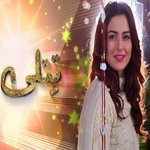 Sahir Ali Bugga Songs MP3 Download