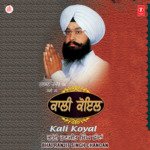 Kaali Koyal Vol 4 Album Download