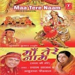 Shyam Sajan Songs MP3 Download
