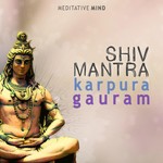 Meditative Mind Songs MP3 Download