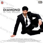 Diamond In The Rough Album Download