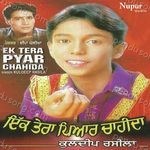 Ek Tera Pyar Chahida Album Download