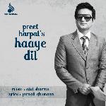 Haaye Dil Album Download