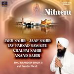 Nitnem Album Download