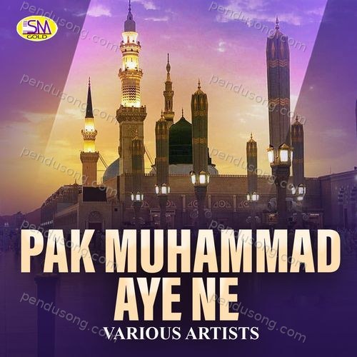 Pak Muhammad Aye Ne