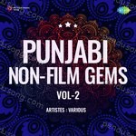 Punjabi Non Film Gems Vol 2 Album Download