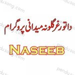 Naseeb