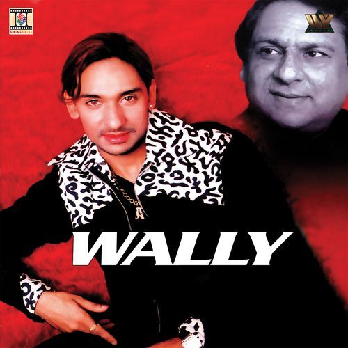 Wally Aamir Ali MP3 Download