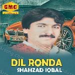 Dil Ronda Album Download