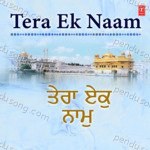 Tera Ek Naam MP3 Download