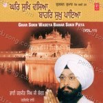 Ghar Sukh Waseya Bahar Sukh Paya Vol-11 - Bhai Darshan Singh Ji Song Download