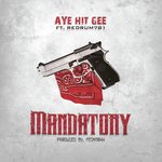 Aye Hit Gee Songs MP3 Download
