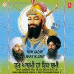 Hum Aadmi Hain Ik Dami Album Download