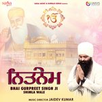 Nitnem Album Download