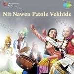 Nit Nawen Patole Vekhide Album Download