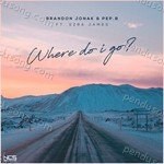 Brandon Jonak Songs MP3 Download