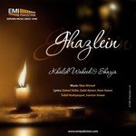 Shazia Songs MP3 Download