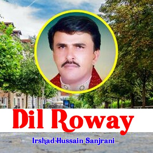 Dil Roway Irshad Hussain Sanjrani MP3 Download