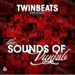 The Sound Of Punjab Album Download