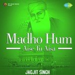 Madho Hum Aise Tu Aisa Album Download