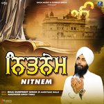 Nitnem Album Download