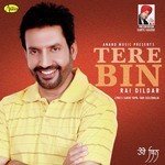 Tere Bin Album Download