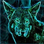 N-Trance Songs MP3 Download