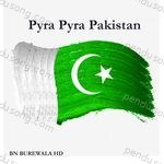 Pyra Pyra Pakistan Album Download