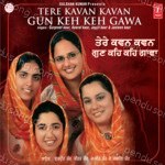 Tere Kavan Kavan Gun Keh Keh Gawa Album Download