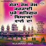 Mera Rom Rom Karjayi Poore Biasan Wale Da Album Download