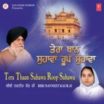 Tera Thaan Suhawa Roop Suhawa Vol 3 Album Download
