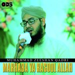 Muhammad Zeeshan Qadri