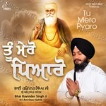 Tu Mero Pyaro Album Download