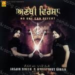 Ankhi Virsa No One Can Defeat Album Download