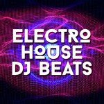 Electro House DJ Songs MP3 Download