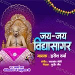 Jai Jai Vidhyasagar Album Download