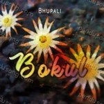 Bhupali Songs MP3 Download
