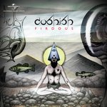 Coshish Songs MP3 Download