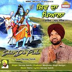 Saroop Sainik
