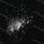 Dark Horses Songs MP3 Download