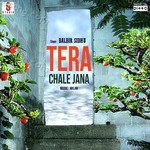 Tera Chale Jana Album Download
