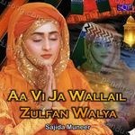 Aa Vi Ja Wallail Zulfan Walya Album Download