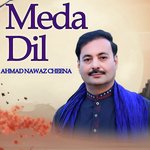 Meda Dil Album Download