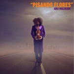 Ara Malikian Songs MP3 Download