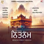 Nitnem - Bhai Manpreet Singh Song Download