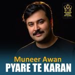 Pyare Te Karan - Muneer Awan Song Download