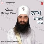 Naam Hirday Dhaar Album Download