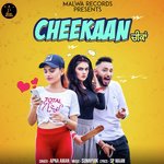 Apna Aman Songs MP3 Download