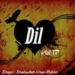 Bulle Shah Songs MP3 Download