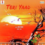 Teri Yaad Album Download